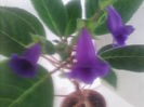 IMG_20140627_133316