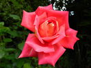DSCN8918