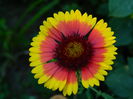DSCN8969