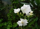 DSCN9018