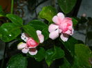 DSCN9024