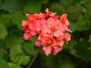 DSCN9027