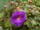 DSCN9029