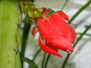 DSCN9032