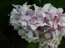 DSCN9034