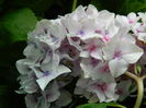 DSCN9037