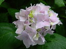 DSCN9038