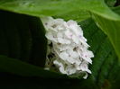 DSCN9040