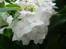 DSCN9042
