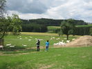 Ziege_Juni_ 034