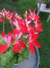 20140625_194519