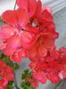 20140625_194349
