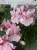 20140625_194324