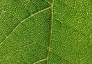 20140525_165137