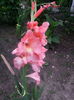 20140625_194816