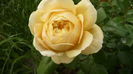 039