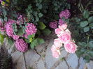DSC08666