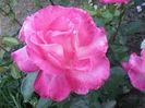 20140526_210018