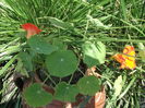 DSCF2759