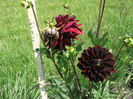 DSCF2760