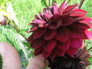 DSCF2761