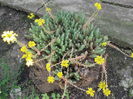 DSCF2764