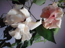 DSCF1333