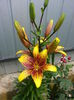 20140628_123838