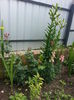 20140628_123907
