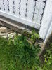 20140628_123940
