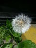 20140628_124118