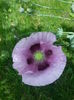 20140628_124147