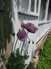20140628_124157
