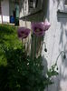 20140628_124204