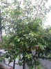 20140628_124226