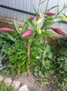 20140628_124250