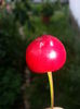 20140628_124429