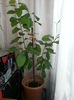 20140628_124557
