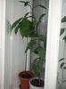 20140628_124633