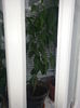 20140628_124643