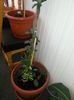 20140628_124714