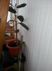 20140628_124719