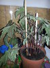 20140628_124749