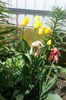 IMG_20140517_145631