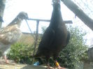 Image0198