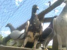 Image0212
