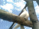 Image0213