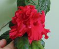 DSC02519