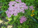 DSCN8239