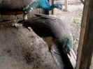 IMG00048